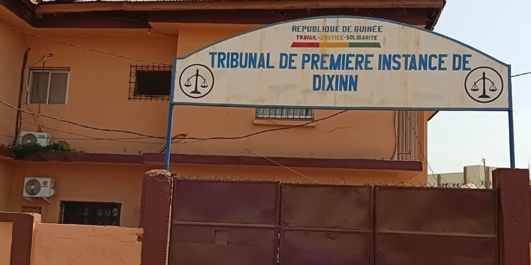 TPI de Dixinn: Une influenceuse condamnée à 1 an avec sursis pour Outrage public à la pudeur 