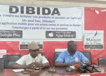 Technologie: l’application DIBIDA lancée en Guinée